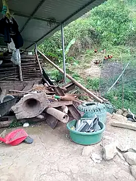 congchua977 online show from April 17, 11:02 am