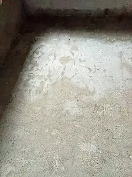 dakota-kis online show from February 4, 11:53 pm