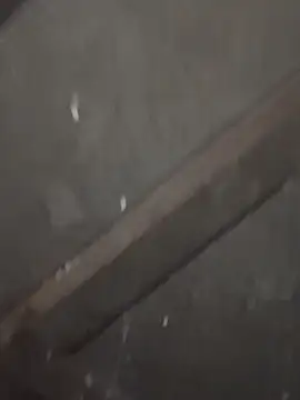 daksh  8 inche online show from February 4, 10:04 pm