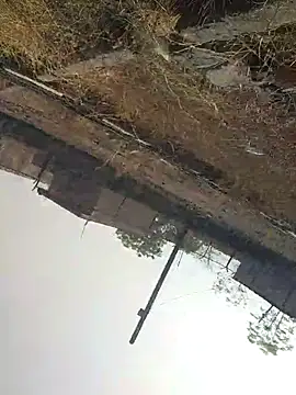 sexyboy 917 online show from April 22, 3:20 am