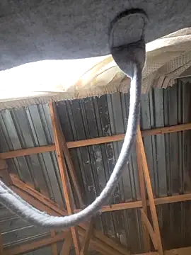 Sihle Plays online show from March 7, 11:40 am