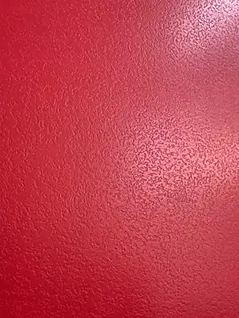 Miss me29 online show from February 6, 3:55 am