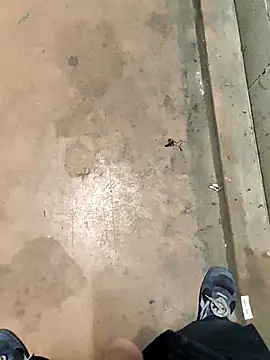 TAMI61 online show from February 4, 7:53 pm