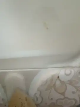 Pagelboy 089 online show from February 19, 8:43 am