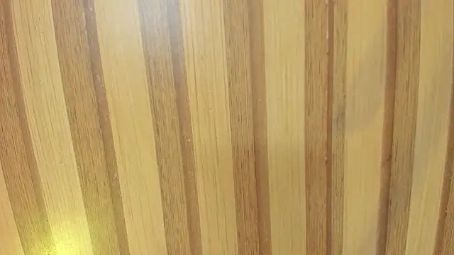 emily velvet   online show from March 30, 6:09 pm