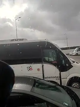 Paulopess online show from January 16, 3:49 pm