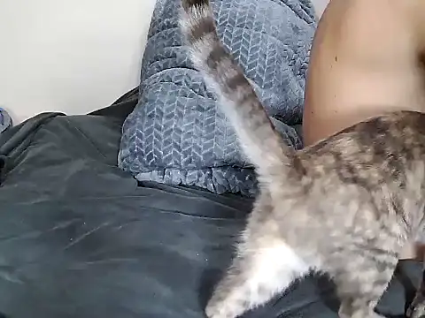 chris aitrix online show from January 8, 10:45 pm