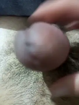 Snapshot of So1sh chatting on February 26, 4:33 am So1sh online show from February 26, 4:33 am