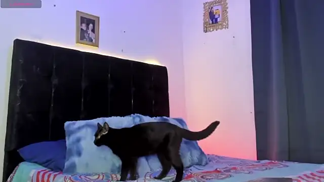 HotboyLyan online show from April 24, 3:09 am