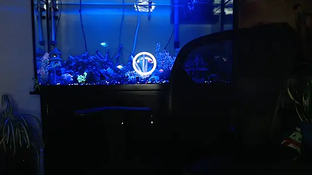 EspanolVato online show from April 22, 8:28 am