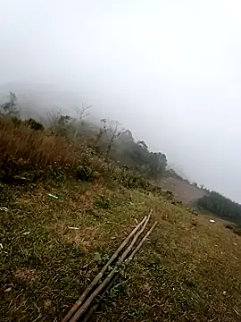 him220 online show from February 15, 1:02 am