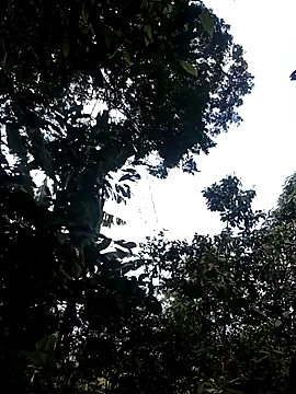 him220 online show from March 2, 6:58 am