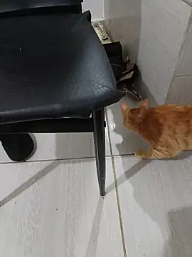 hotbuch online show from January 6, 6:55 pm