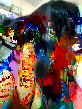 couple fun  online show from February 15, 12:25 pm