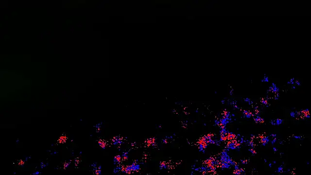 wolverinedream online show from April 20, 3:59 pm