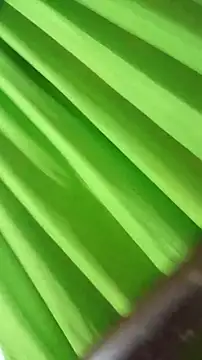 saray reesee online show from February 28, 4:24 am