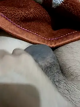  chota bunny  online show from February 24, 9:40 am