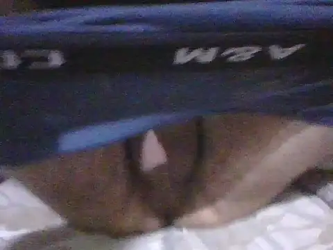 kemo2087 online show from April 2, 10:18 pm