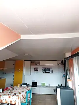 colosone online show from March 1, 11:06 am