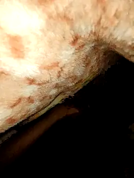 rohit16770 online show from January 18, 7:06 pm