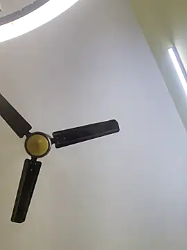 trinasa online show from January 10, 6:31 pm