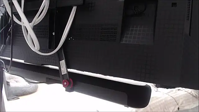 TittenTina online show from January 12, 11:15 am