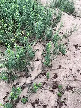 Annalua73 online show from January 18, 6:44 pm