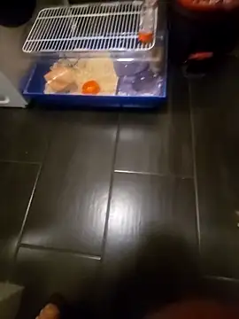 81czacha8107 online show from March 27, 10:42 pm