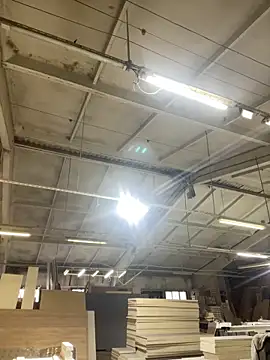 Dildogang online show from February 14, 8:55 am