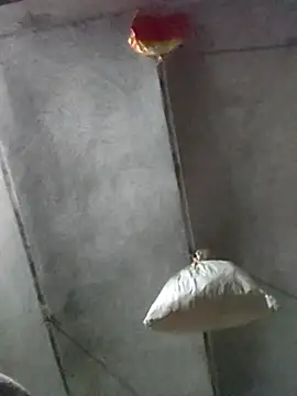 kulwantj online show from January 18, 1:59 pm