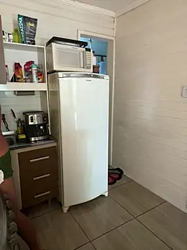 dogfrota online show from March 12, 12:22 pm