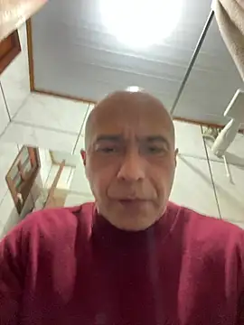 dogfrota online show from June 12, 9:14 pm