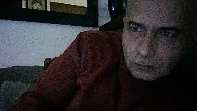dogfrota online show from June 14, 8:22 pm