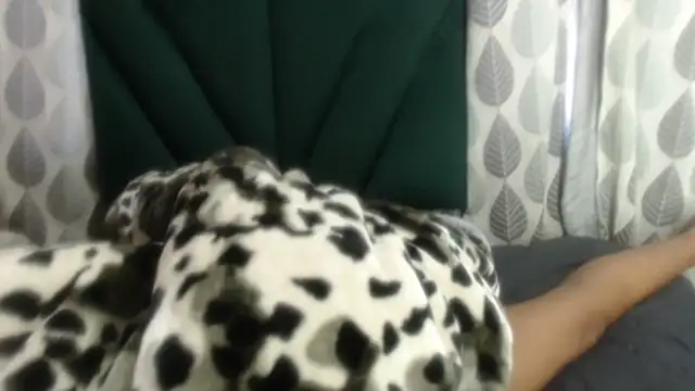 Nellybba online show from March 27, 5:46 am