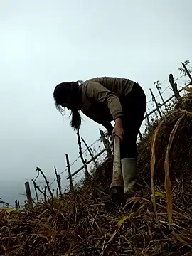 miumiu sexy2x online show from April 1, 2:01 am