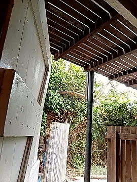 dicklife3485 online show from February 24, 8:23 am