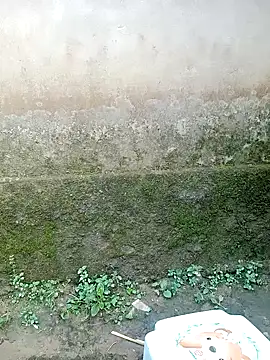 out-lustt online show from April 20, 9:45 am