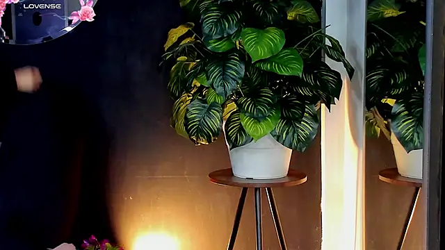 Noaah25  online show from April 10, 3:23 am