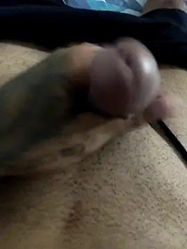 Snapshot of Dominic_wolff chatting on January 15, 3:00 am Dominic wolff online show from January 15, 3:00 am