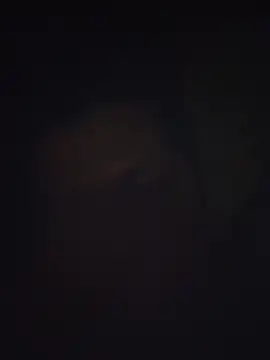 Pravin9562 online show from March 4, 7:09 pm