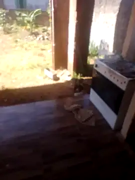 jhon Danda online show from January 17, 1:27 pm