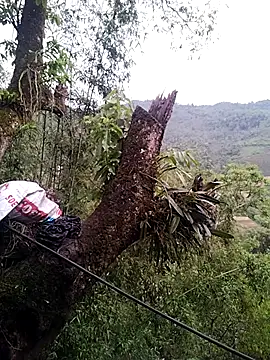 lia-coy online show from April 19, 12:43 am