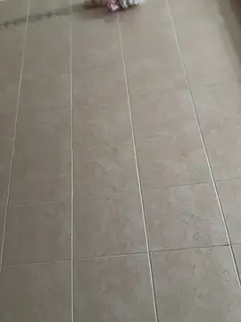 joy1334 online show from February 9, 11:03 am