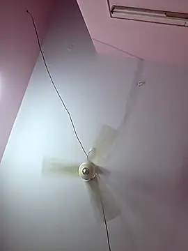 pavso1438 online show from January 17, 12:10 pm