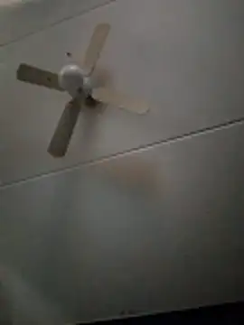 dewimp1 online show from February 3, 8:52 am