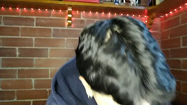 PaulDamico online show from February 2, 12:15 pm