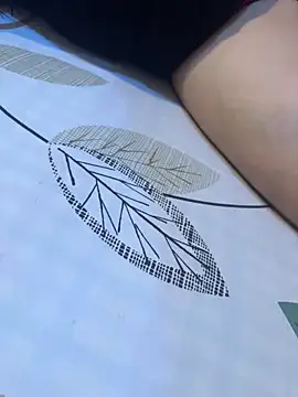 chublady online show from April 26, 5:16 am