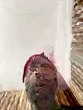 hardlysuck online show from February 4, 2:39 am