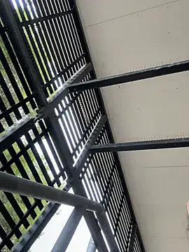 tyd247 online show from March 10, 4:17 am