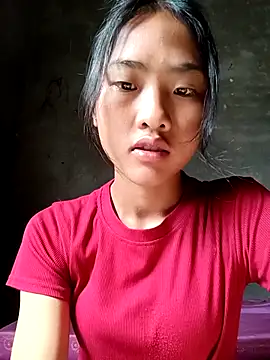 Hoa-tuylip online show from April 13, 7:58 am